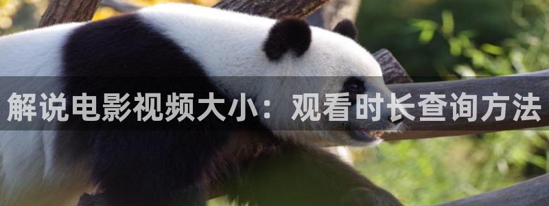 空中飞人徐锦江版免费观看西瓜