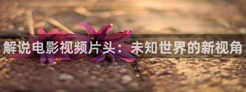 我们的法则免费完整版观看西瓜