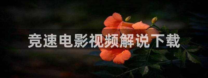 不期而至在线全集免费观看西瓜