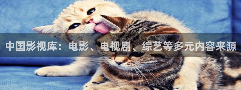 西瓜视频免费在线看