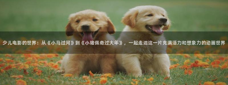 我们的婚姻免费观看全集西瓜