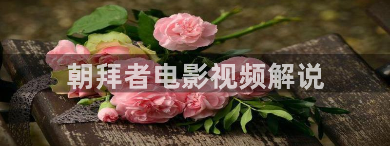 西瓜免费观看在线高清电视剧