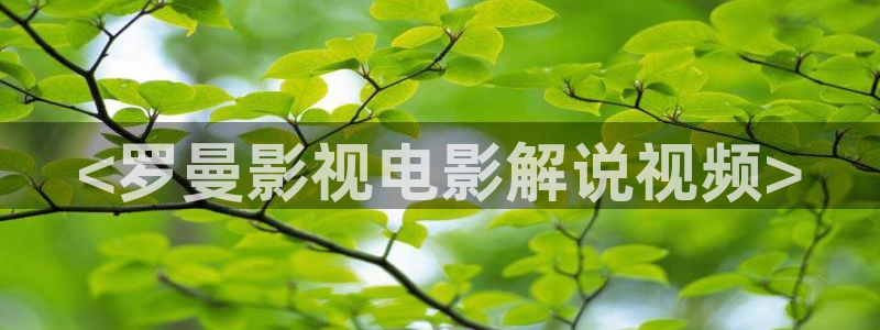 西瓜啊