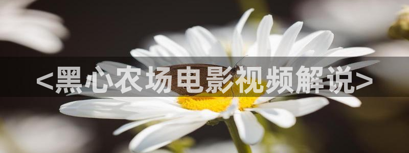 秋霞西瓜影院